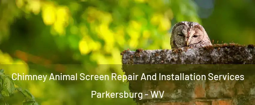  Chimney Animal Screen Repair And Installation Services Parkersburg - WV