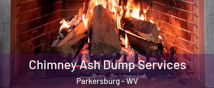  Chimney Ash Dump Services Parkersburg - WV
