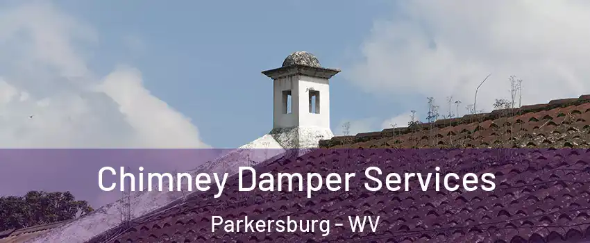  Chimney Damper Services Parkersburg - WV