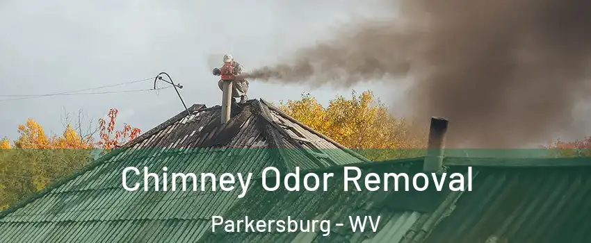  Chimney Odor Removal Parkersburg - WV