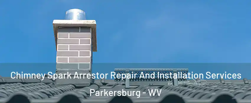  Chimney Spark Arrestor Repair And Installation Services Parkersburg - WV