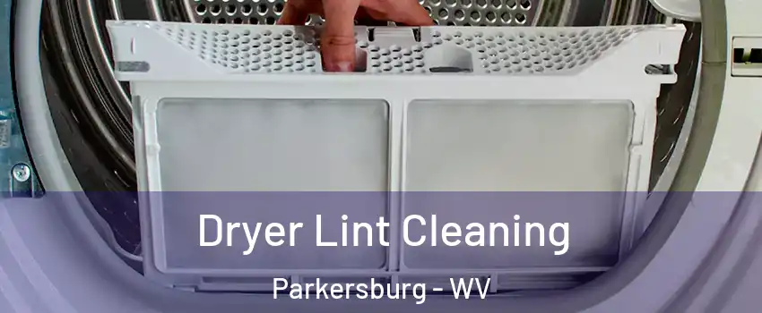  Dryer Lint Cleaning Parkersburg - WV