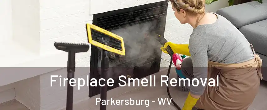  Fireplace Smell Removal Parkersburg - WV