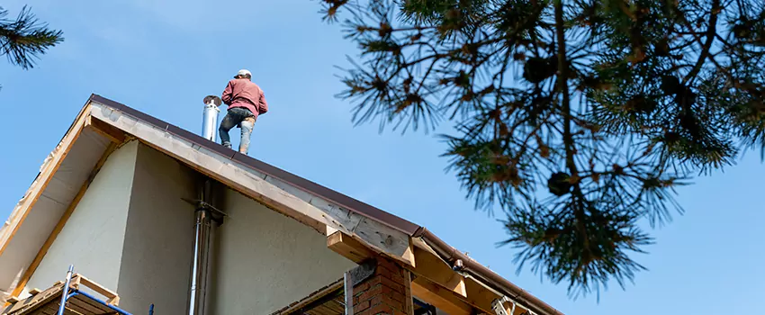 Birds Removal Contractors from Chimney in Parkersburg, WV