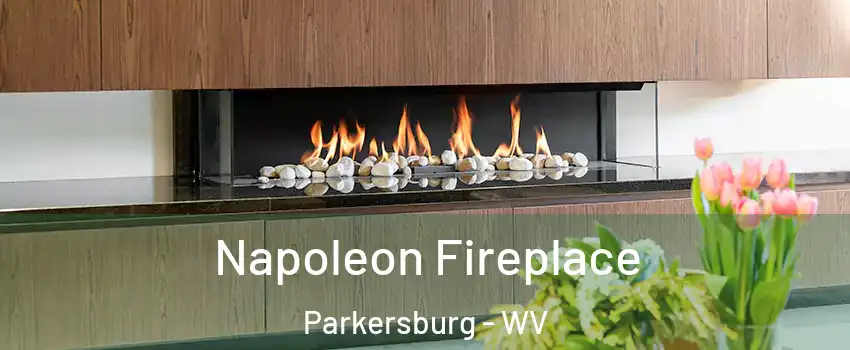  Napoleon Fireplace Parkersburg - WV